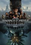دانلود فیلم Black Panther 2 2022 پلنگ سیاه 2 (بلک پنتر 2) ❤️ با دوبله و زیرنویس فارسی چسبیده